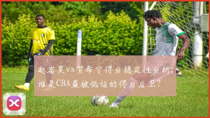 赵岩昊vs贺希宁得分稳定性分析:谁是CBA最被低估的得分后卫?